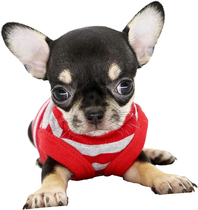 LOPHIPETS 100% Cotton Striped Dog Shirts for Small Dogs Chihuahua Puppy Clothes Tank Vest-Red and Gray Strips/XS