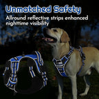 Eagloo Dog Harness Small Sized, Easy Wearing with 3 Buckles, Adjustable No Pull Pet Harness with 2 Rings for Walking, No Chock Reflective Soft Padded Vest with Control Handle, Blue & Black, S