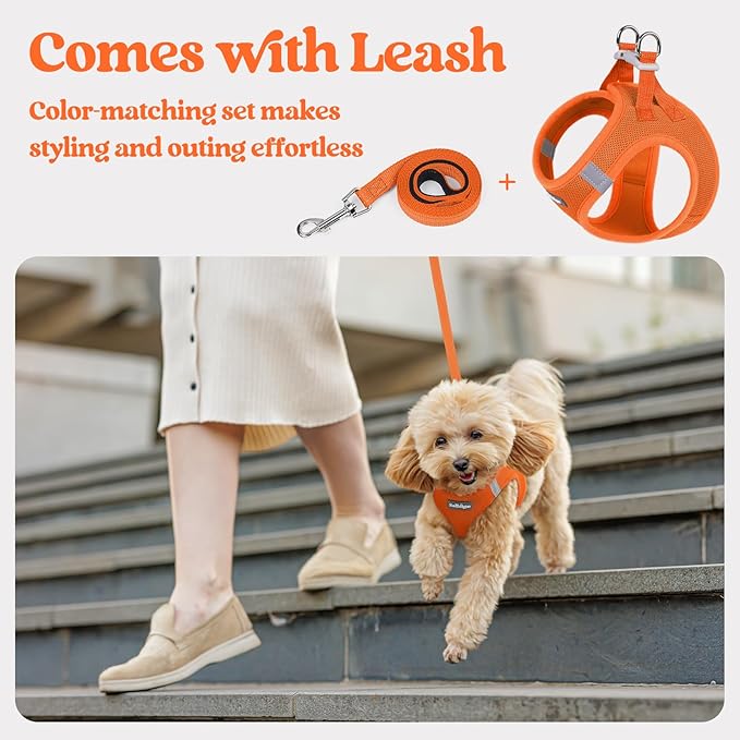 rabbitgoo Dog Harness Small Medium Sized and Leash Set, Step in Soft Light Puppy Vest, Breathable Mesh Pet Harness, Reflective for Safe Easy Walking, Orange L
