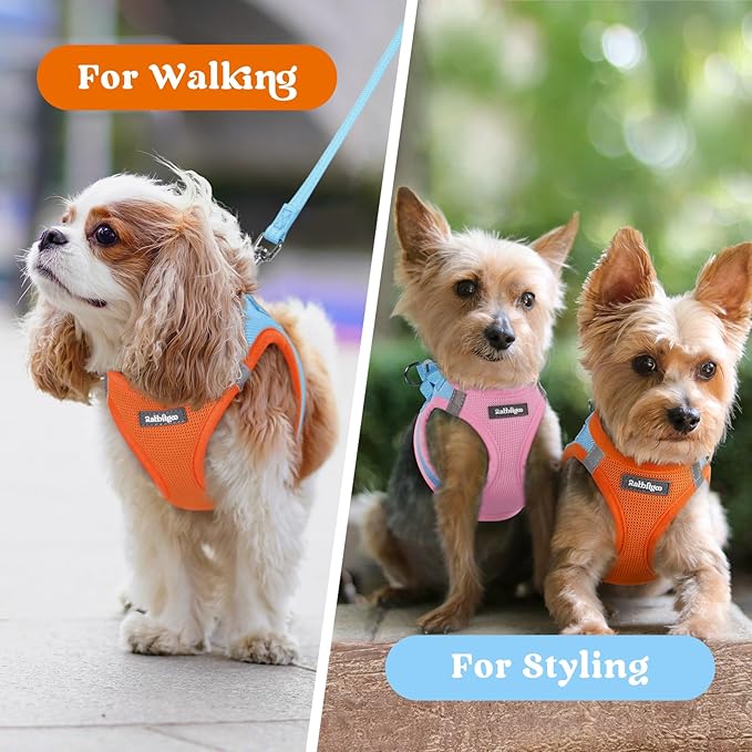 rabbitgoo Small Dog Harness, Step-in Soft Mesh Puppy Vest with Safety Buckle, Breathable Reflective Pet Harness for Small Sized Dogs, Blue & Orange S