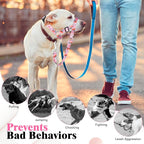HIGO Dog Head Collar, Adjustable Head Collar for Dogs, No Pulling Head Halter, Training Nose Leash, 3 Pattern Muzzle Leash for Small Medium Large Dogs Easy Walking (Pink, M)