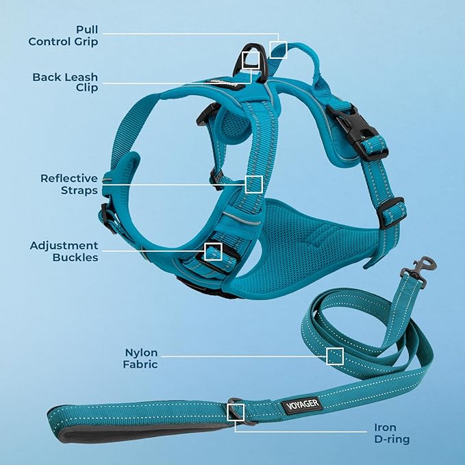 Voyager Dog Harness Dual Leash Attachment No-Pull Control Adjustable Soft but Strong Pet Harness for Medium and Large Dogs with 3M Reflective Technology, Leash Set Turquoise Nylon, XS (Chest: 13-16")