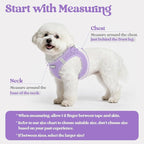 rabbitgoo Dog Harness Small Medium Sized and Leash Set, Step in Soft Light Puppy Vest, Breathable Mesh Pet Harness, Reflective for Safe Easy Walking, Light Purple L