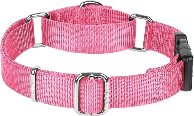 Martingale Collar for Dogs with Quick Release Buckle, Heavy-Duty Solid Color Nylon Training Collars - Adjustable No-Slip Design for Medium & Large Dog