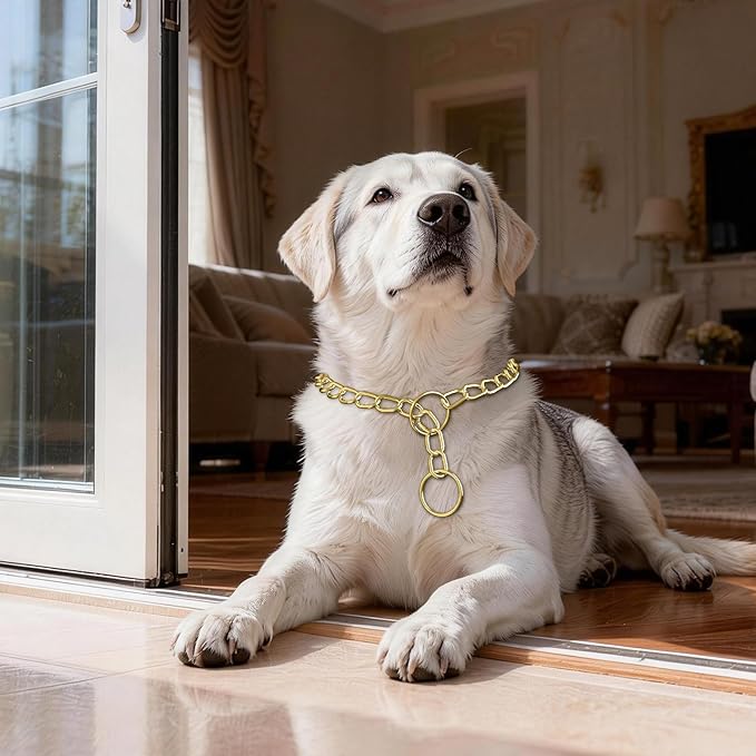 Chain Choke Collar for Dogs,Heavy Chain Dog Metal Training Choke Collars, Martingale Puppy Collars for XS Small Medium Large Big XL Breed Dogs (Gold, S(Neck Max 16inch) D2.5mm)