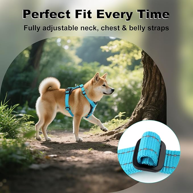 Plutus Pet Adjustable No Pull Dog Harness with Leather Accents, Heavy Duty Reflective Nylon Vest for Training, Hiking, Easy Walk Harness for Small, Medium, Large Dogs (Light Blue, M)
