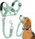 HIGO Dog Head Collar, Adjustable Head Collar for Dogs, No Pulling Head Halter, Training Nose Leash, 3 Pattern Muzzle Leash for Small Medium Large Dogs Easy Walking (Green, S)