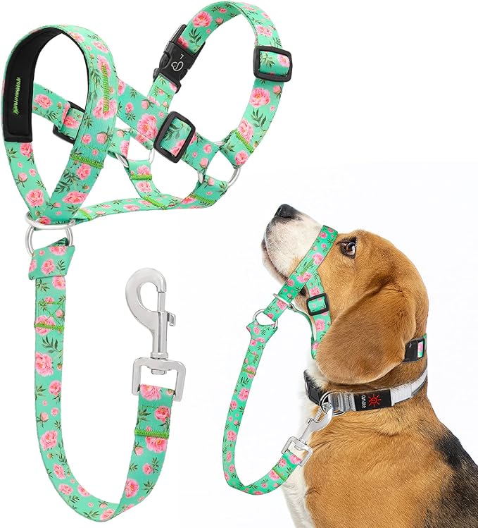 HIGO Dog Head Collar, Adjustable Head Collar for Dogs, No Pulling Head Halter, Training Nose Leash, 3 Pattern Muzzle Leash for Small Medium Large Dogs Easy Walking (Green, M)