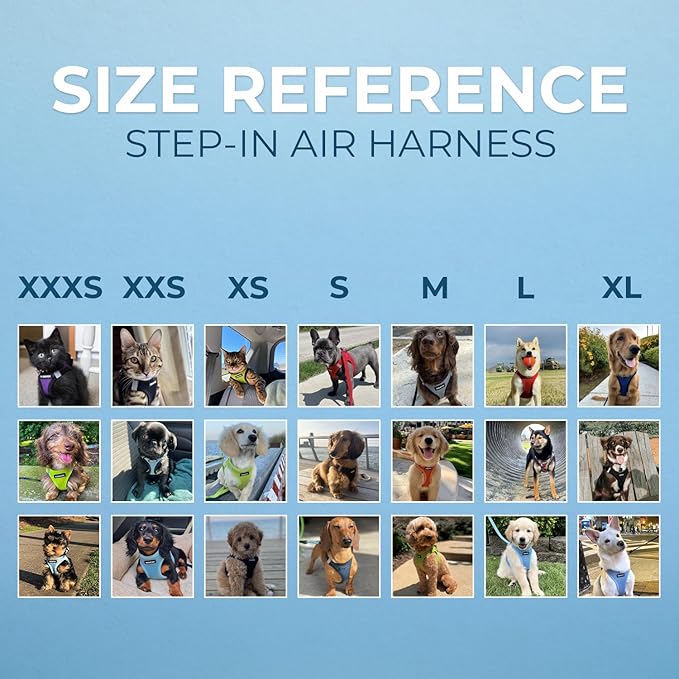 Best Pet Supplies Voyager Step-in Air Harness - All Weather Mesh, Reflective, No Pull Harness for Dogs, Cats - Secure with Hook & Loop Fastener, Buckle, Double D-Rings - Royal Blue/Black Trim, S