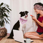Elegant Little Tail Dog Bandana - 1PC Washable Cotton Summer Dog Kerchief Reversible Bibs/Scarf Triangle Scarf for Small to Large Dogs