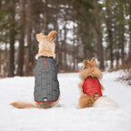 Kurgo Loft Dog Jacket - Reversible Cozy Coat for Outdoor Adventures - Water Resistant - Athletic Fit - Machine Washable Fabric - Reflective Dog Gear - X-Large - Chili Red