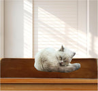 Soft Cat Window Sill Dog Pad Perch,Fluffy Windowsill Dog Pet Mat Pillow Seat Bed, Cat Pet Cushion for Window Sill Mat (Coffee, 12"x24")
