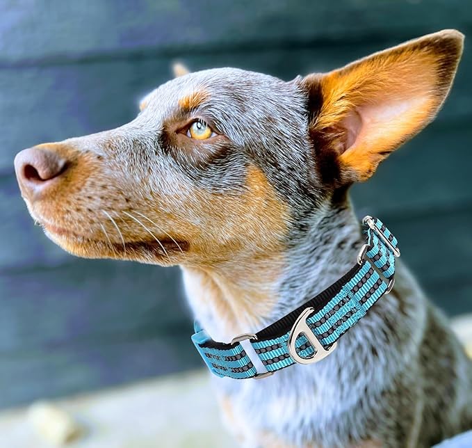 Martingale Collar for Dogs -Reflective Nylon No Slip Choke with Padded Comfort Heavy Duty Dog Collar with Quick Release Buckle for Training, Walking & Overexcited Pulling Blue L