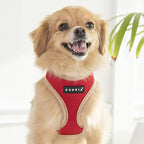 Puppia Soft Dog Harness II Mesh Over-The-Head All Season No Pull No Choke Walking Training Adjustable for Small & Medium Dog - RED - S