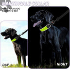 Martingale No Pull Dog Collar for Large Medium Dogs Training Walking, Heavy Duty Nylon Reflective Adjustable Anti Pull Slip Collar with Buckle L Green