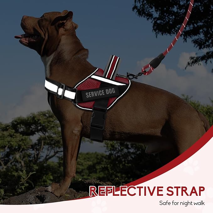 Service Dog Vest Harness and Leash Set, Animire in Training Dog Harness with 10 Dog Patches, Reflective Dog Leash with Soft Padded Handle for Small, Medium, Large, and Extra-Large Dogs (RED,L)