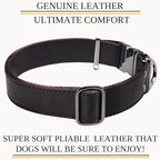 ADITYNA Leather Dog Collar with Metal Buckle - Heavy-Duty, Adjustable for Large & Extra Large Dogs - Walking & Training (Black, Fits 19-30" Necks)