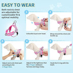 Lukovee No Pull Dog Harness and Leash Set, Soft Padded Small Dog Harness, Neck & Chest Adjustable Reflective Vest Puppy Harness with 4ft Lightweight Anti-Twist Dog Leash for Small Dogs (XS, Fuschia)