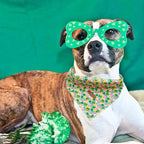 Elegant little tail Dog Bandana, St. Patrick's Day 1PC Washable Dog Scarf Female or Male Square Bib Kerchief Scarf Adjustable Pet Bandana for Medium Large Dogs