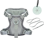 Petmolico No Pull Cute Dog Harness for Small Dogs, with Two Leash Clips and Soft Handle, Reflective Easy Walk Dog Harness- Light Green,Small