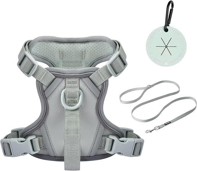 Petmolico No Pull Cute Dog Harness for Small Dogs, with Two Leash Clips and Soft Handle, Reflective Easy Walk Dog Harness- Light Green,Small