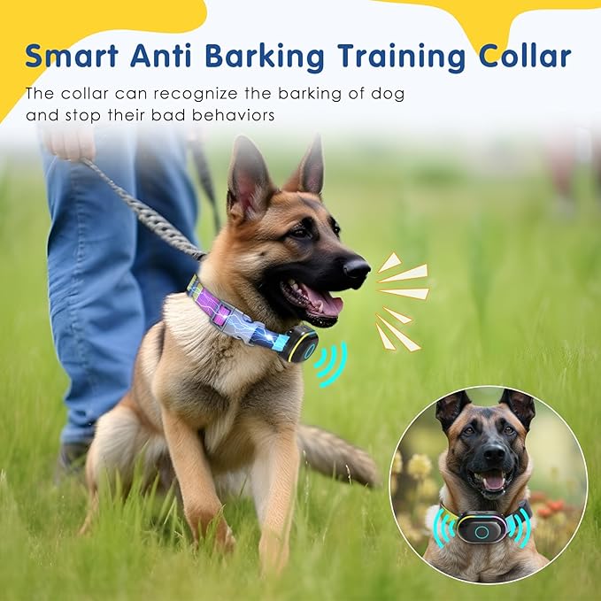 Lychee Training Collar (Black)