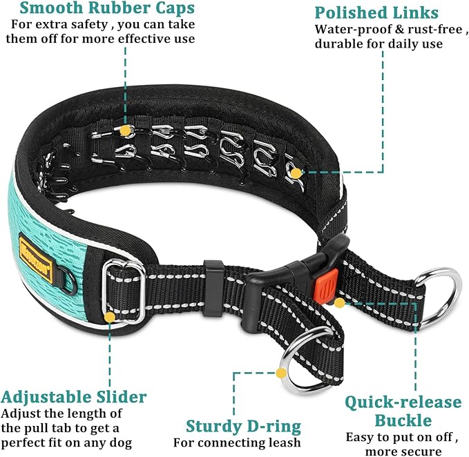 Mayerzon Martingale No Pull Collar for Large Medium Dogs Pitbull German Shepherd Rottweilers, Patented Reflective Anti Pull Dog Walking Collar with Buckle for Training Hiking, Adjustable(XL, Cyan)