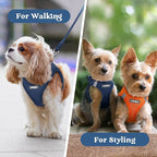 rabbitgoo Small Dog Harness, Step-in Soft Mesh Puppy Vest with Safety Buckle, Breathable Reflective Pet Harness for Extra Small Dogs, Navy Blue XXS