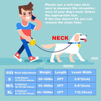 Prong Collar for Dogs,Dog Training Collar with One Professional Training Leash,Adjustable Pinch Collar with Quick Release Metal Buckle, No Pull Choke Collar for Small Medium Large Dogs（Silver, M/L）