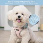 AIITLE XXS Dog Harness & Leash Set - Breathable Reflective No-Choke Small Dog Harness for Teacup Puppies, Indoor/Outdoor Use - Boston Terrier, Maltese, Chihuahua (Blue-Pink, XXS)