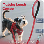 Eagloo Small Dog Harness and Leash Set, Step in Puppy Vest with Breathable Soft Mesh, Walking Reflective Pet Harness for Small Dogs, Red, XS