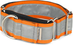 If It Barks - 1.5" Reflective Martingale Collar for Dogs - Adjustable - Made in USA - Strong, Durable, and Comfy - Ideal for Training - Suitable for Most Breeds - Medium, Orange