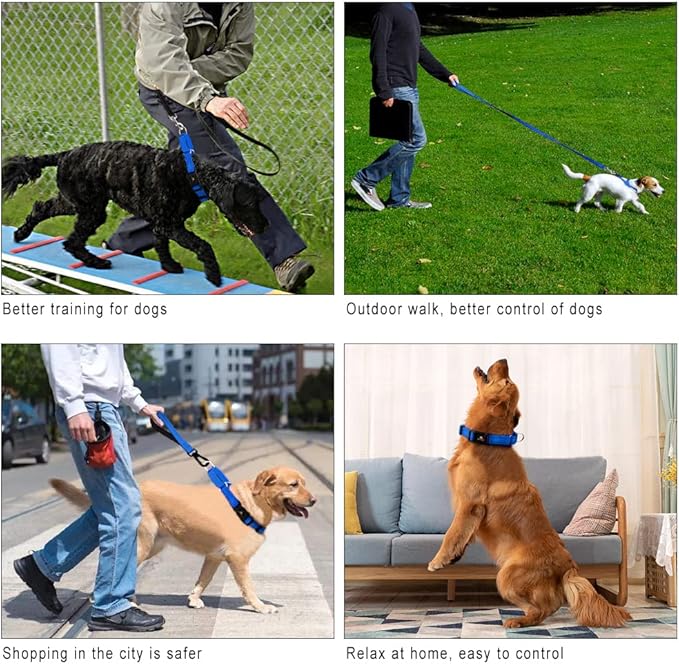 Plutus Pet Reflective Martingale Collar with Buckle - Durable and Adjustable Training Collar for No Pulling, Dog Choker Collar for Small Medium Large Dogs, Royal Blue, L