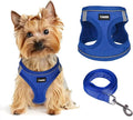 Dog Harness for Small Dogs and Leash Set, Honeycomb Grid, Reflective Lightweight Harness & Anti-Twist Pet Lead (Multi Color, Size: XS-S-M) (M, Sapphire Blue)