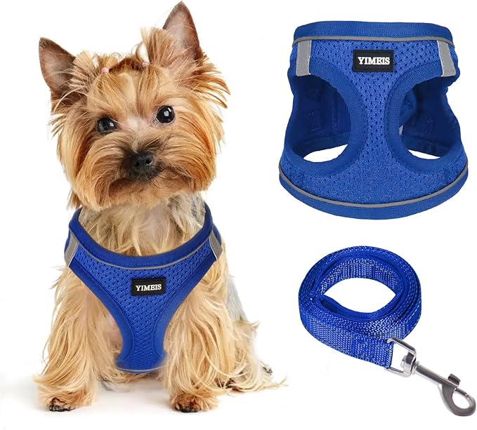 Dog Harness for Small Dogs and Leash Set, Honeycomb Grid, Reflective Lightweight Harness & Anti-Twist Pet Lead (Multi Color, Size: XS-S-M) (XS, Sapphire Blue)
