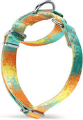 Martingale Dog Collar Escape-Proof for Training - No-Buckle, Durable Polyester Design for Medium Breeds (Deserts and Oases,M)