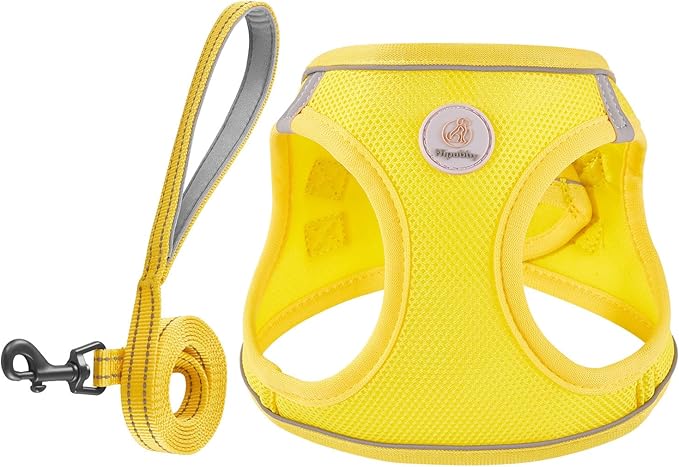 Hipubby Dog Harness and Leash Set, No Pull Soft Mesh Puppy Harness for Small Medium Dogs, Cats - Step in Reflective Breathable Lightweight Vest Harness for Walking, Training - Yellow, M