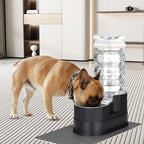 RIZZARI Large Water Dispenser for Dogs: 8L Black Raised Gravity Auto-Refill Waterer with Stainless Steel Bowl - Leak-Resistant & Easy Cleaning - Less Bending for Senior Dogs - Garage & Garden