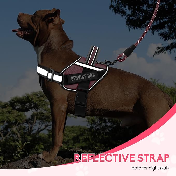 Service Dog Vest Harness and Leash Set, Animire in Training Dog Harness with 10 Dog Patches, Reflective Dog Leash with Soft Padded Handle for Small, Medium, Large, and Extra-Large Dogs (Rosy,XL)