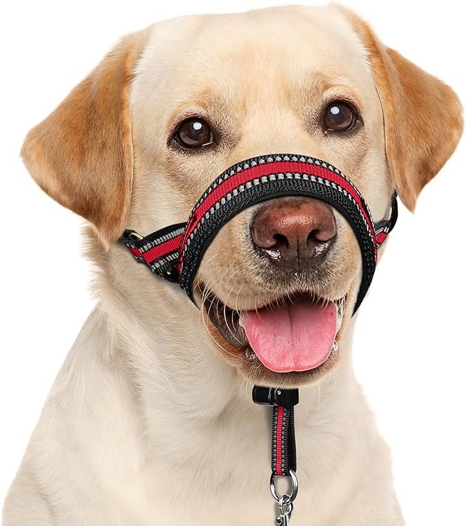BARKLESS Soft Dog Head Collar, Patented Padded No Pull Head Halter, Training Nose Leash with Safety Link for Medium Large Dogs, Adjustable Muzzle Leash, Easy Control for Walking (L, Red)