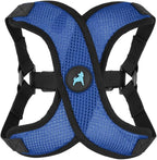 Gooby Comfort X Step in Lite Dog Harness - Choke Free, Escape Free with Light Breathable Mesh - Step in Dog Harness for Small Dogs Only - Quick Release Buckle, Metal D-Rings - Blue, Large