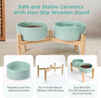 SPUNKYJUNKY Elevated Dog Bowls Ceramic, 7.3'' Dogs Food Water Bowls Raised with Non-Slip Bamboo Stand for Medium to Large Sized Breed Microwave Dishwasher Safe - 42 OZ,Light Green