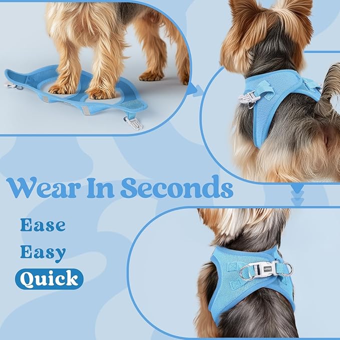 rabbitgoo Small Dog Harness, Step-in Soft Mesh Puppy Vest with Safety Buckle, Breathable Reflective Pet Harness for Small Sized Dogs, Blue M