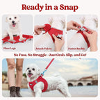 rabbitgoo Dog Harness Small Sized and Leash Set, Step in Soft Light Puppy Vest, Breathable Mesh Pet Harness, Reflective for Safe Easy Walking, Red XXS