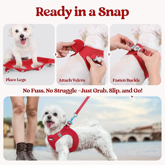 rabbitgoo Dog Harness Small Sized and Leash Set, Step in Soft Light Puppy Vest, Breathable Mesh Pet Harness, Reflective for Outdoor Safe Walking, Red XXXS
