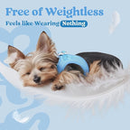 rabbitgoo Small Dog Harness, Step-in Soft Mesh Puppy Vest with Safety Buckle, Breathable Reflective Pet Harness for Large Dogs, Blue XXL