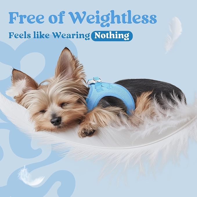 rabbitgoo Small Dog Harness, Step-in Soft Mesh Puppy Vest with Safety Buckle, Breathable Reflective Pet Harness for Small Sized Dogs, Blue S