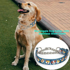 Adjustable No-Pull Dog Collar - Martingale Chain Collar with Safe Limited-Slip Design, Choker Training Collar for Medium, Large & XL Dogs(Medium)