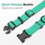Martingale Collar for Dogs with Quick Release Buckle, Reflective Soft Padded & Escape Proof, Adjustable Nylon Dog Collars for Training & Daily Walking (Turquoise,XS)