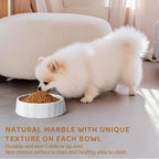 Gray Marble Dog Bowl, Non-Slip Non-Tipping Heavy Dog Food Bowl, Large Weighted Stone Dish, Natural Marble Pet Water Bowl, Easy to Clean, Present for Cat & Dog Lovers, Holds 6 Cups(6 lbs)